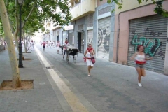 P1040050